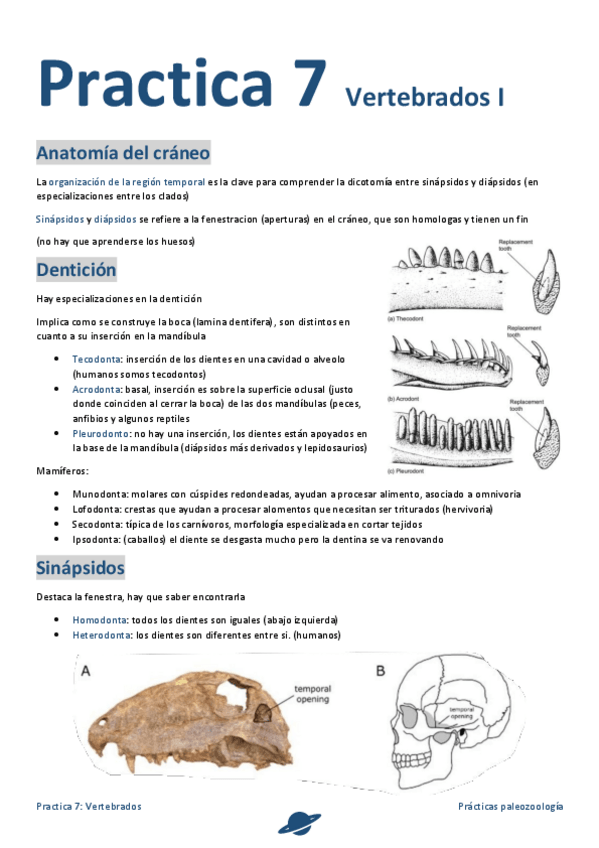 Miniatura del documento Practica-7.pdf