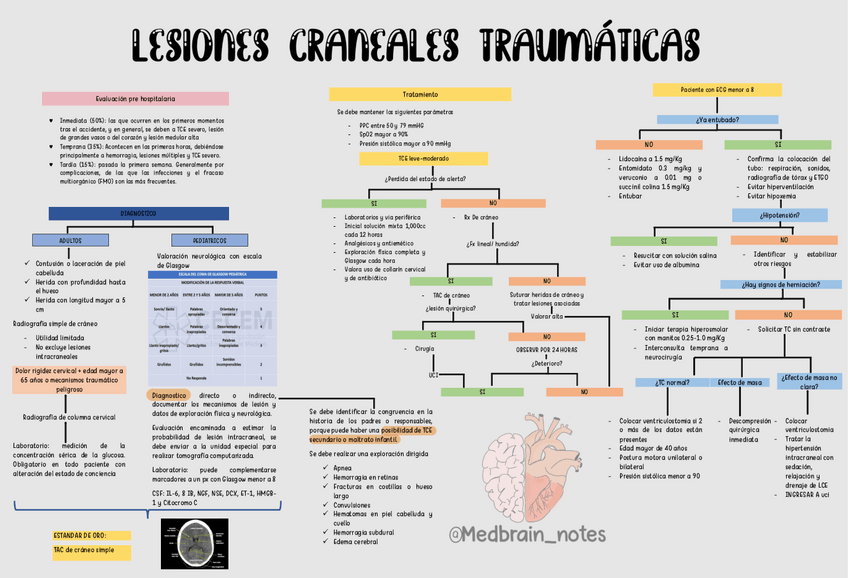 Miniatura del documento Lesiones-Craneales.pdf