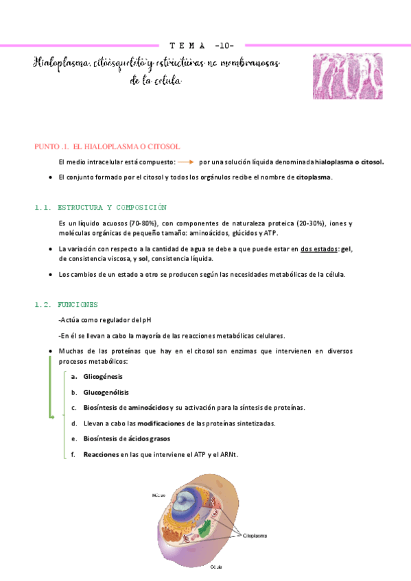 Miniatura del documento bio-t.pdf