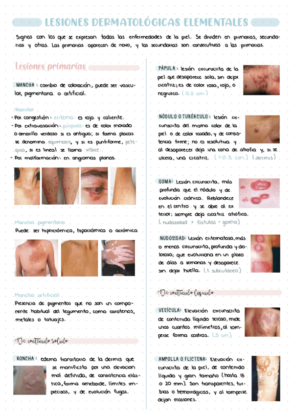 Miniatura del documento Lesiones-Elementales-.pdf