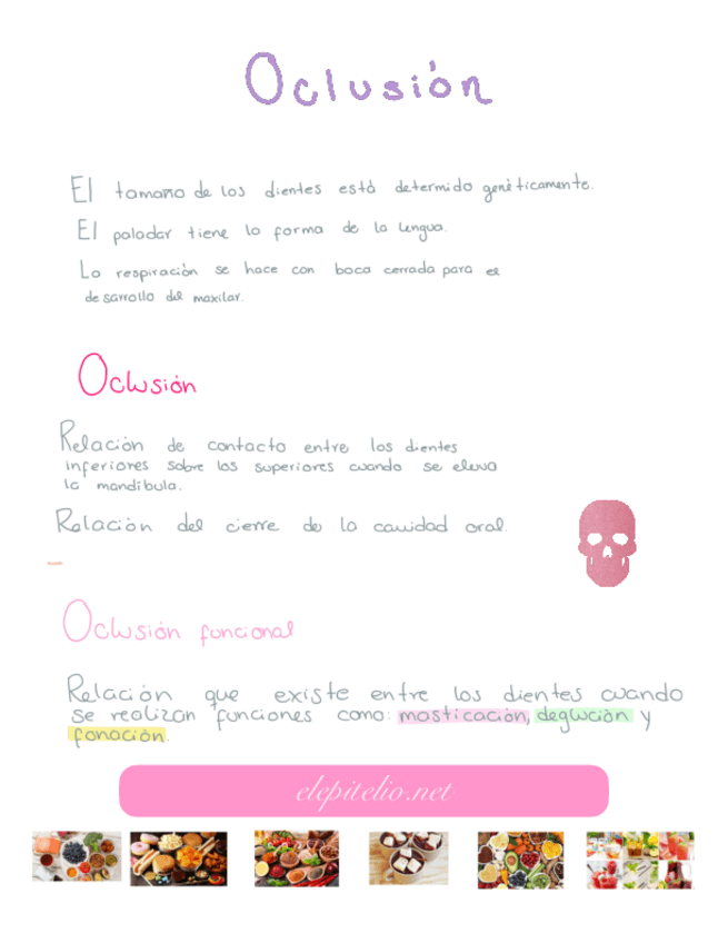 Miniatura del documento OCLUSION-.pdf