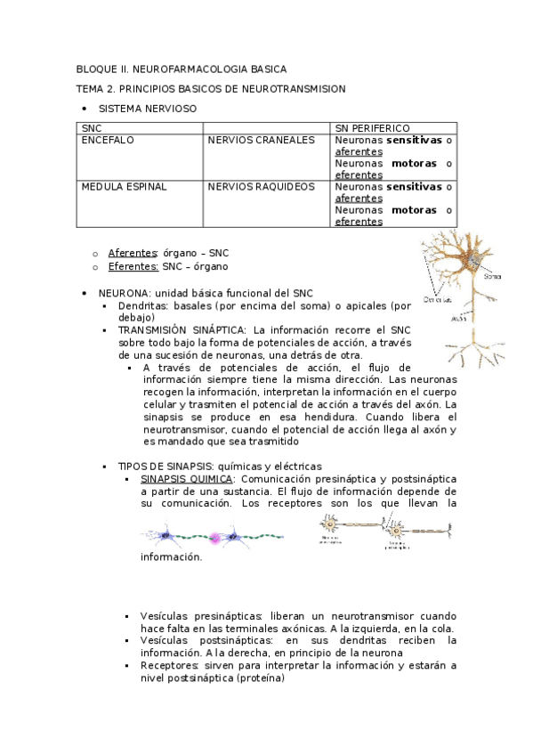Miniatura del documento TEMA-2.docx