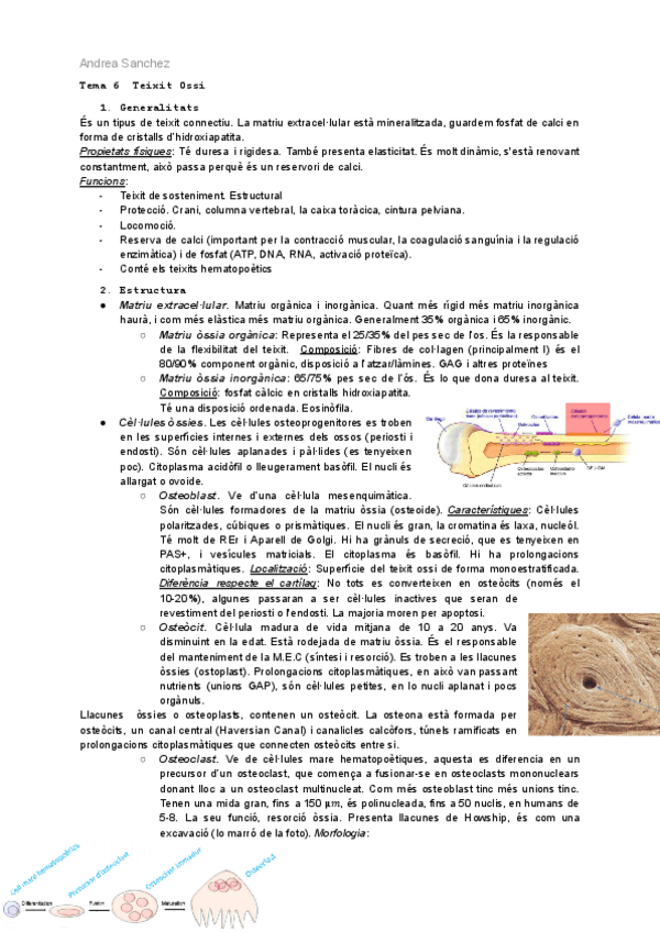 Miniatura del documento Ossi-i-muscular-i-sang.pdf