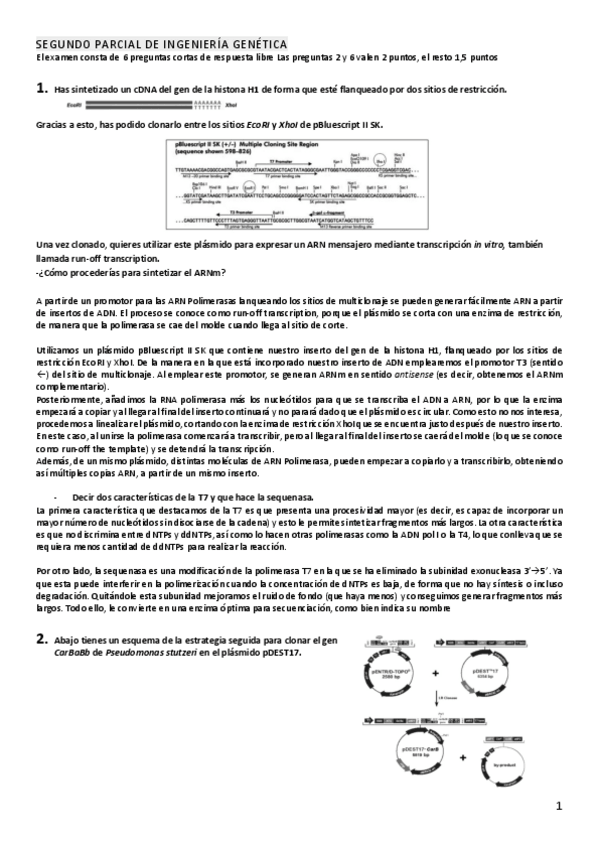 Miniatura del documento examen-ige-2.pdf