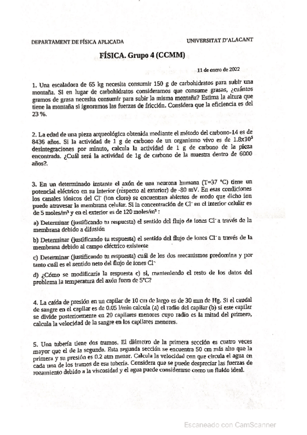 Miniatura del documento FINAL.pdf