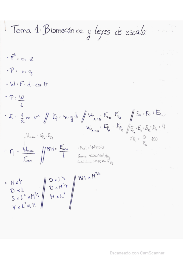 Miniatura del documento FORMULARIO.pdf