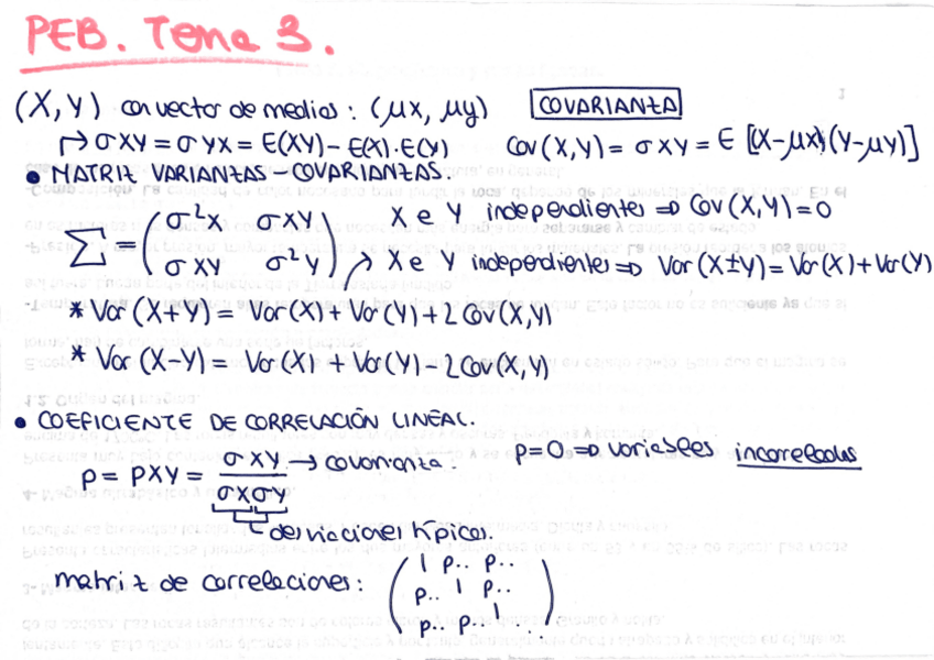 Miniatura del documento PEB.pdf