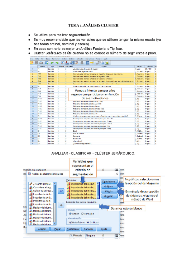 Miniatura del documento Apuntes-Investigacion.pdf