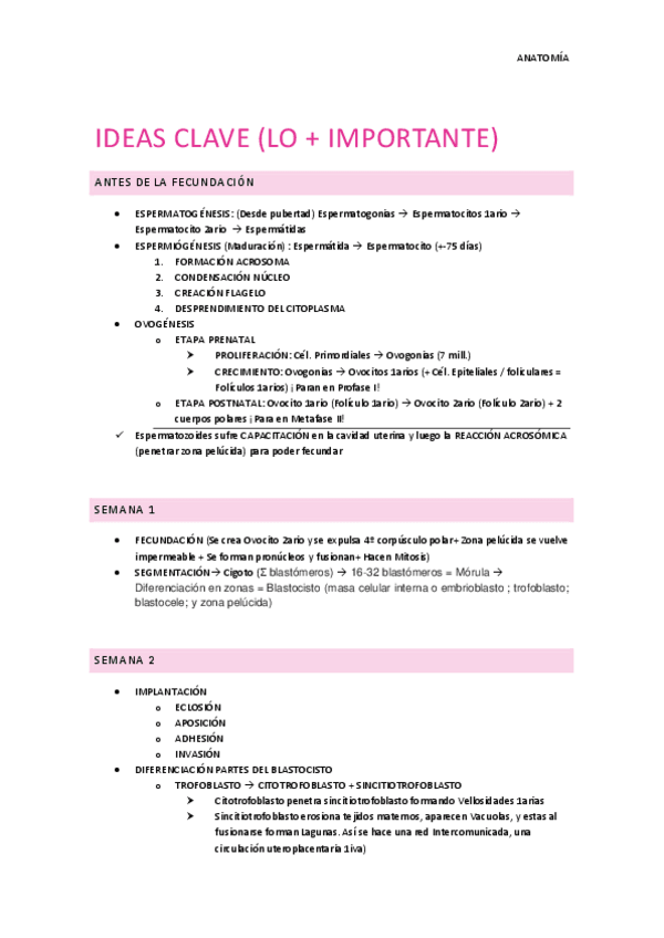 Miniatura del documento Ideas clave embriologia