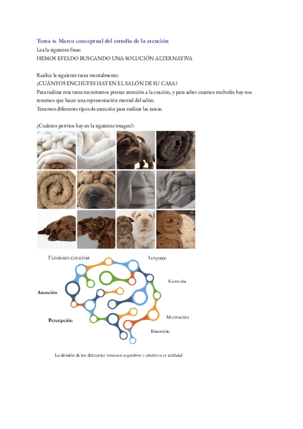 Miniatura del documento Tema-4-percepcion-y-atencion-.pdf