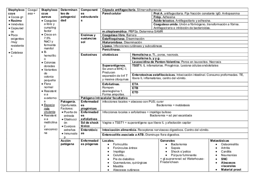Miniatura del documento bacteriologia-completa.pdf