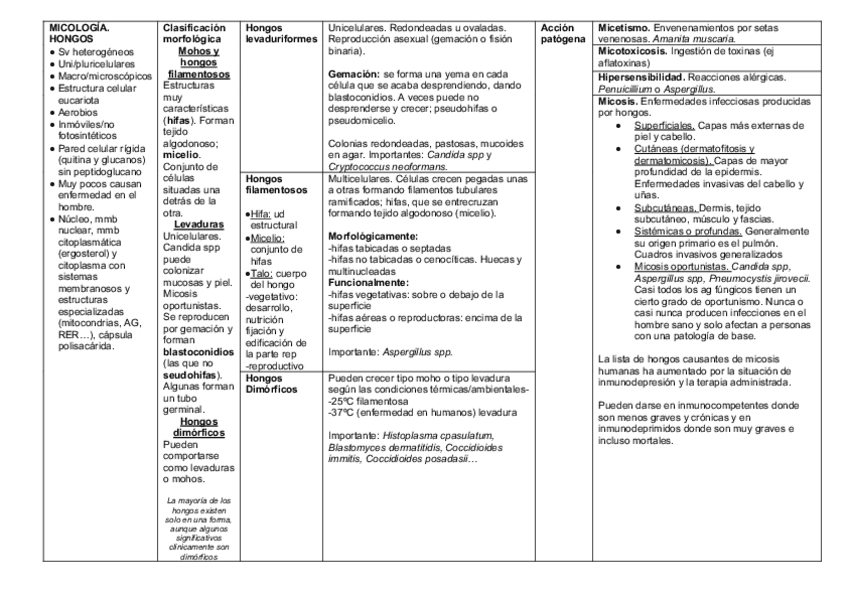 Miniatura del documento todo-hongos.pdf