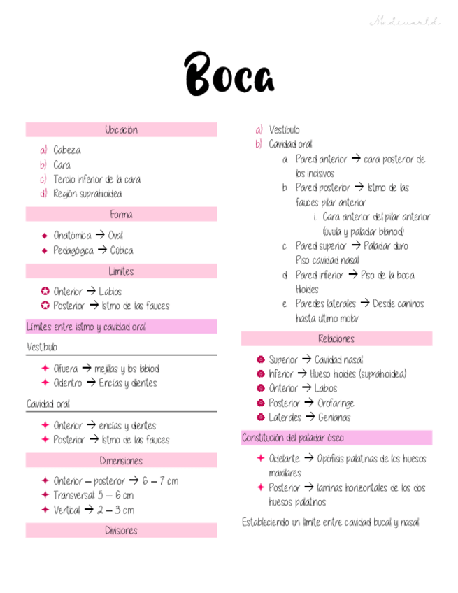 Miniatura del documento Anatomia-de-boca.pdf
