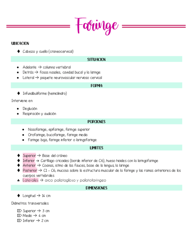 Miniatura del documento Anatomia-de-Faringe.pdf