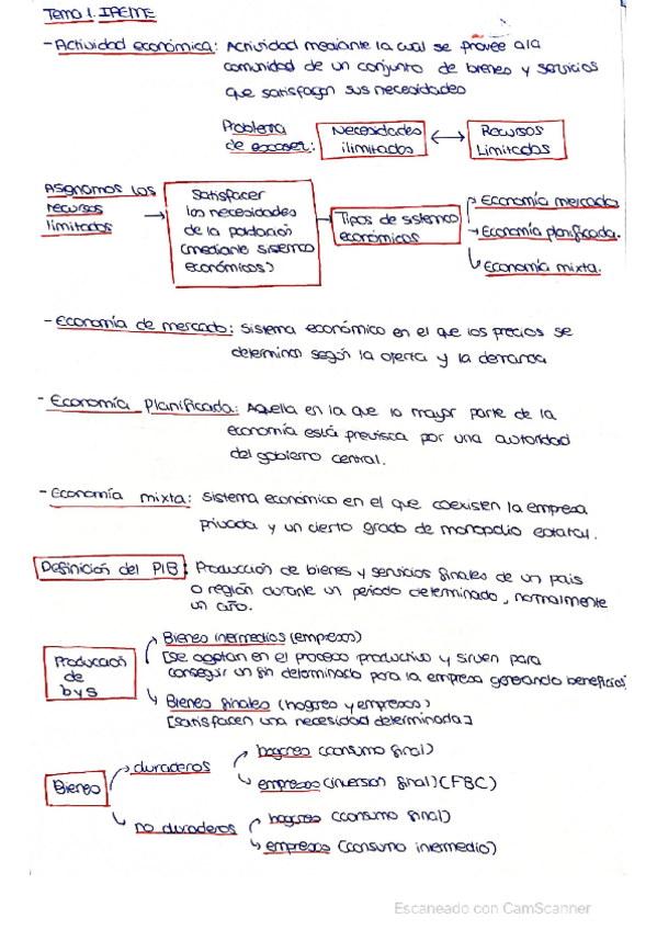 Miniatura del documento APUNTES-PRIMER-PARCIAL-TEMAS-1-2-Y-3.pdf