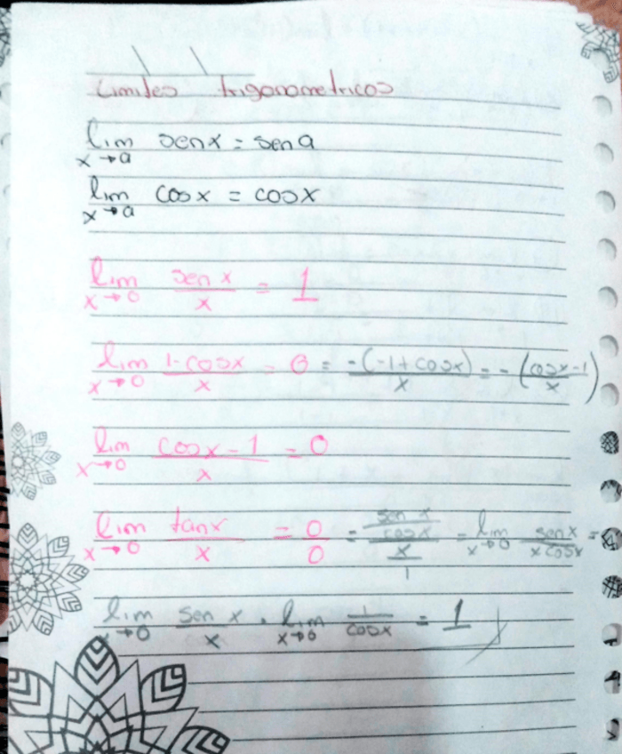 Miniatura del documento limites-trigonometricos.pdf