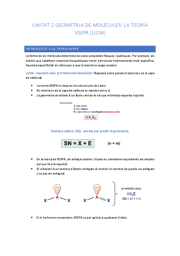 Miniatura del documento RESUMEN-T2-S4-GEOMETRIA-DE-MOLECULAS.pdf