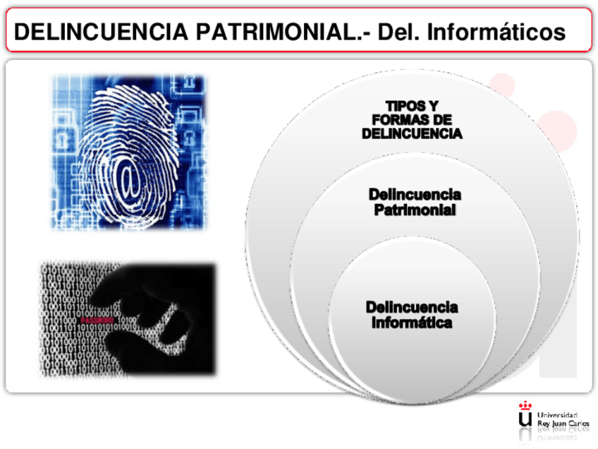 Miniatura del documento Delincuencia-informatica.pdf