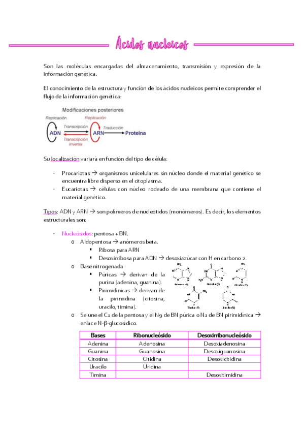 Miniatura del documento Acidos-nucleicos.pdf