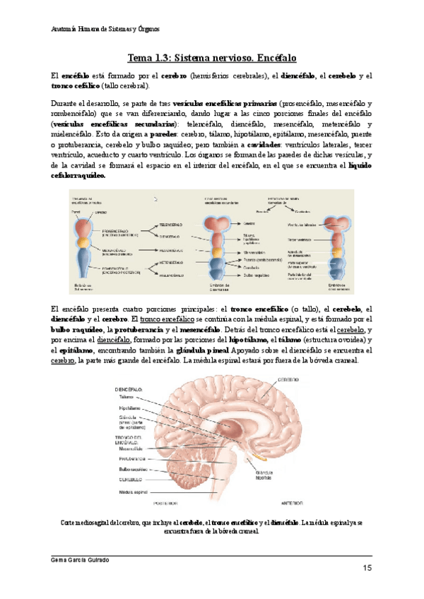 Miniatura del documento TEMA-1.pdf