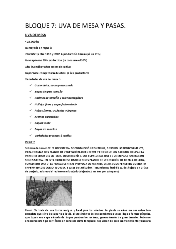 Miniatura del documento Bloque7Uvasdemesaypasas.pdf