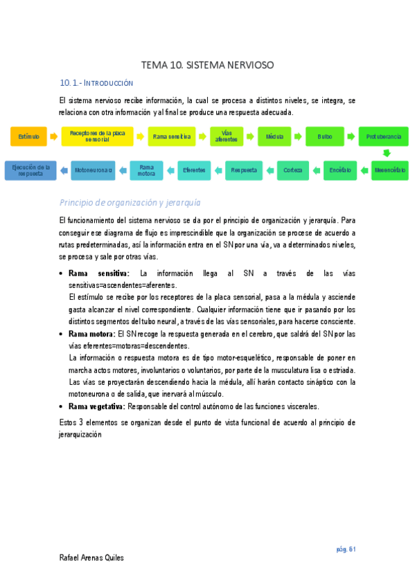 Miniatura del documento Tema 7 nervioso.pdf