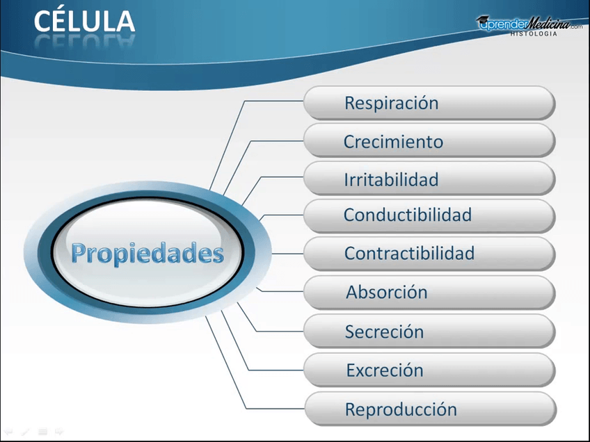 Miniatura del documento Celula.mp4