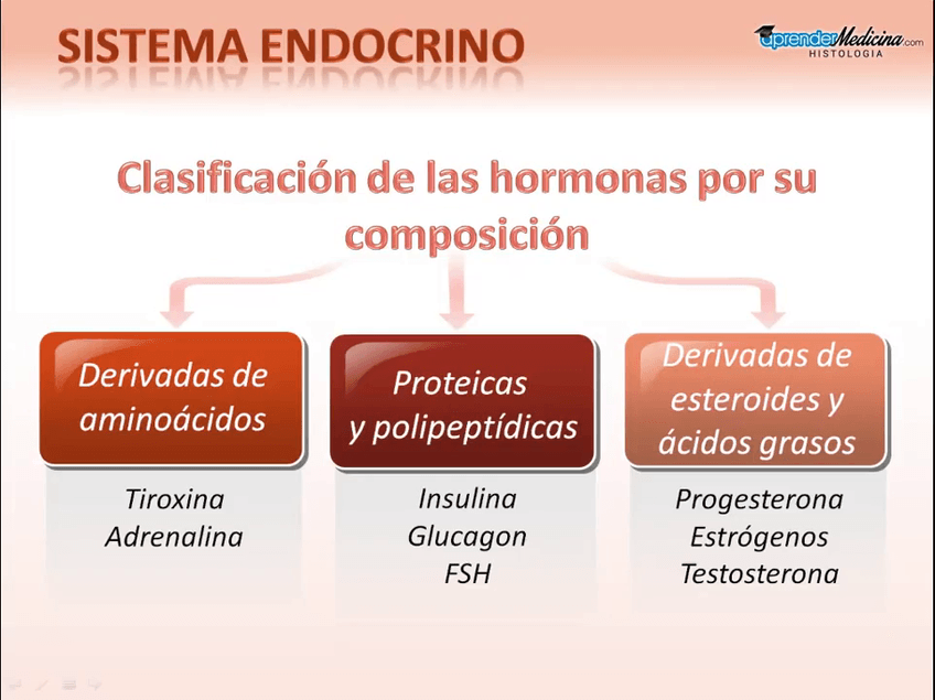 Miniatura del documento Sistema-Endocrino.mp4