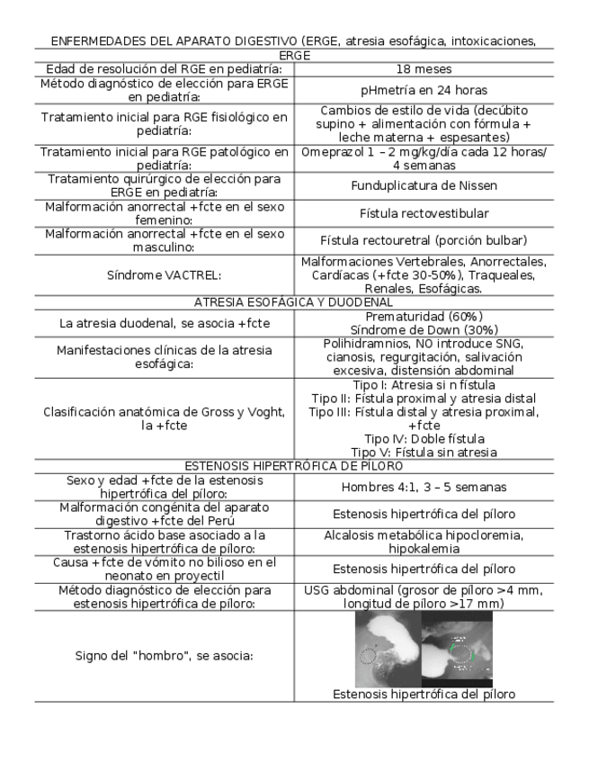 Miniatura del documento Pediatria-Enfermedades-del-Aparato-Digestivo.docx