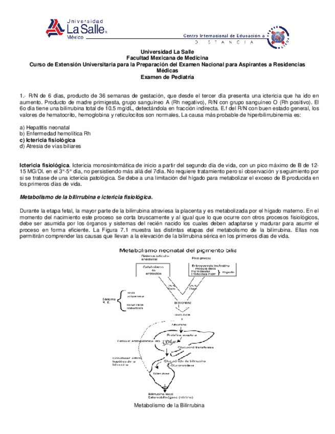 Miniatura del documento respexammodIIped.pdf