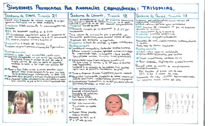 Miniatura del documento TRISOMIAS-3.pdf