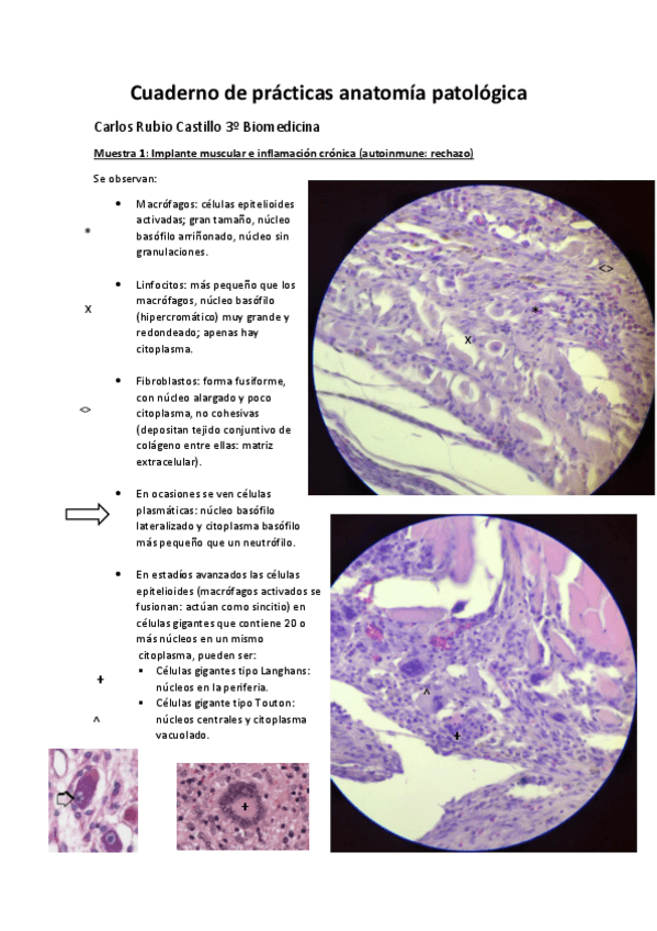 Miniatura del documento Cuaderno-practicas-anatomia-patologica.pdf