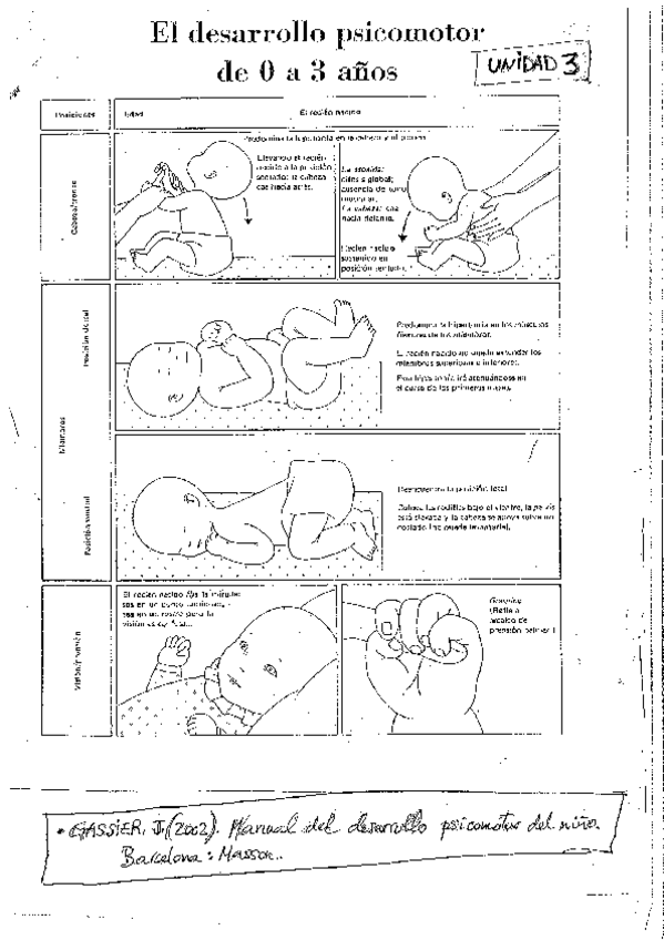 Miniatura del documento UNIDAD-3-Desarrollo-Psicomotor-0-3-GASSIER.pdf