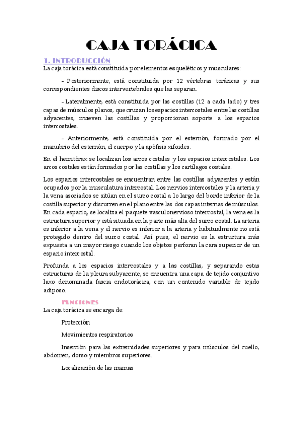 Miniatura del documento Torax.pdf
