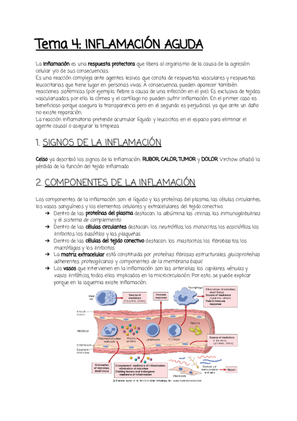 Miniatura del documento Tema-4.pdf