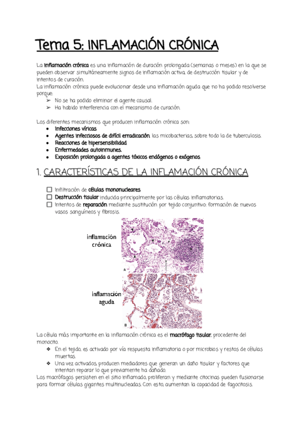 Miniatura del documento Tema-5.pdf
