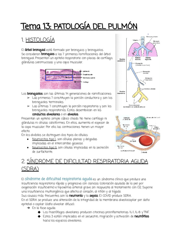 Miniatura del documento Tema-13.pdf
