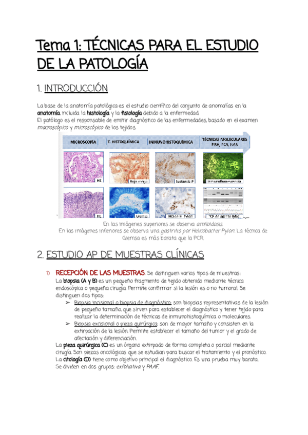 Miniatura del documento Taller-1.pdf