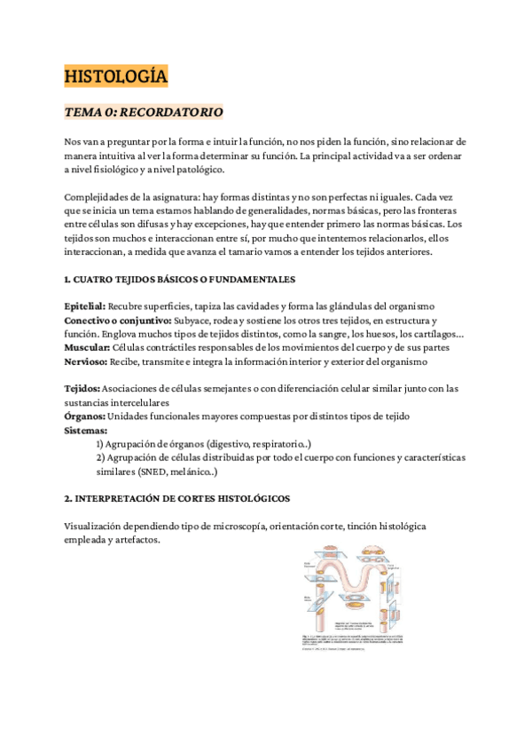 Miniatura del documento HISTOLOGIA-1er-CUATRIcompressed.pdf