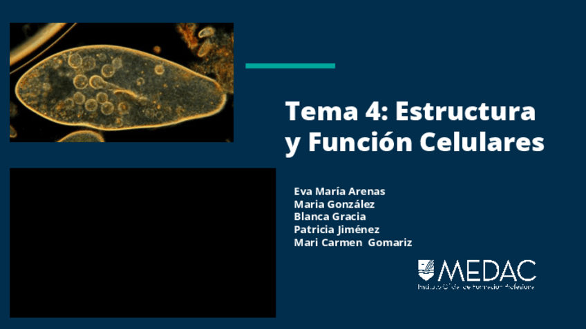 Miniatura del documento Presentacion-fisiopatologia.pdf