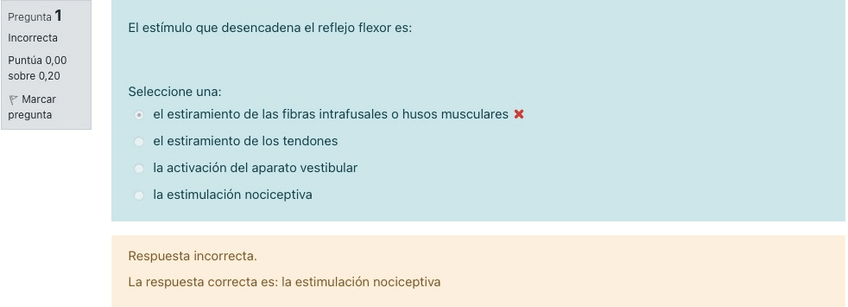 Miniatura del documento TEST-BANYFIS-II-NERVIOSO.pdf