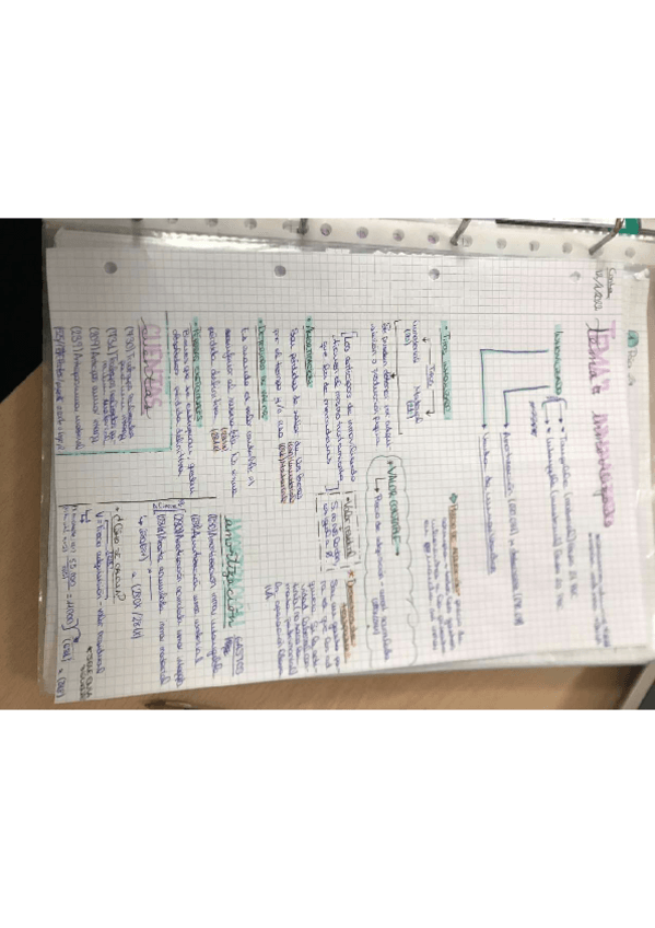 Miniatura del documento APUNTES-VARIOS-CONTA.pdf