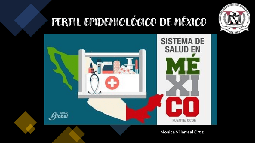 Miniatura del documento 3-Perfil-Epidemiologico-Del-Pais.pdf