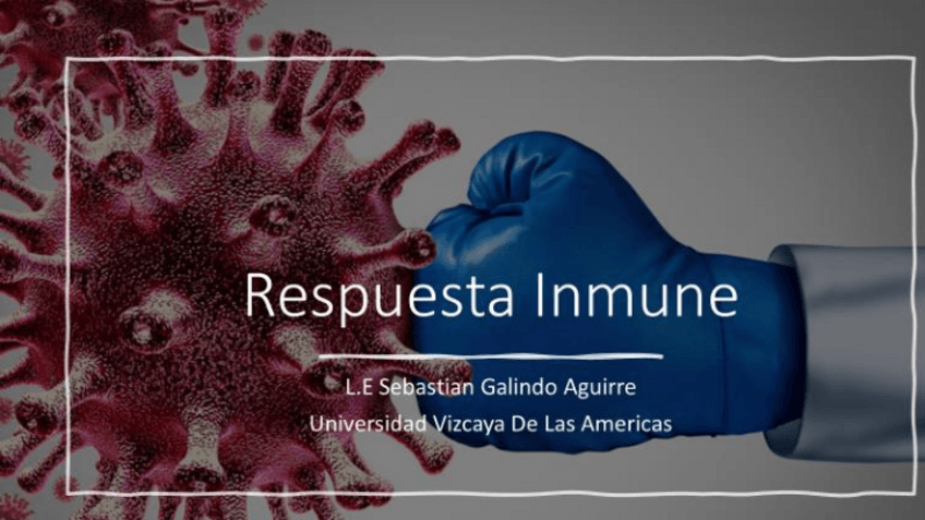 Miniatura del documento 4.pdf