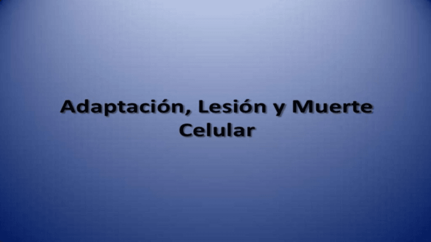 Miniatura del documento 4.pdf