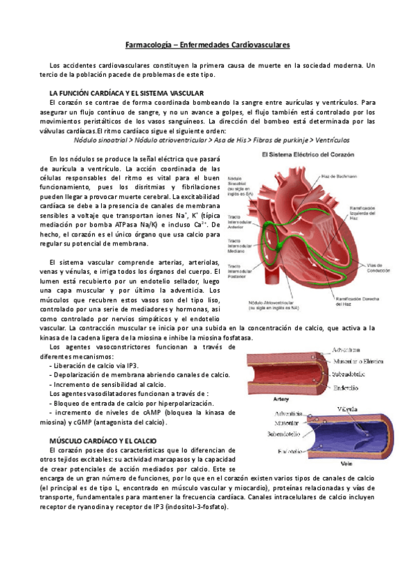 Miniatura del documento T6.pdf