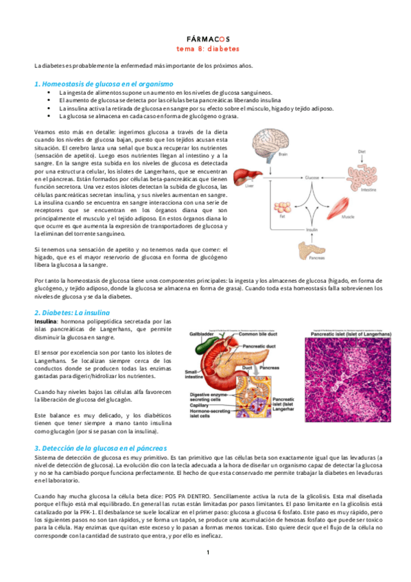 Miniatura del documento T8.pdf
