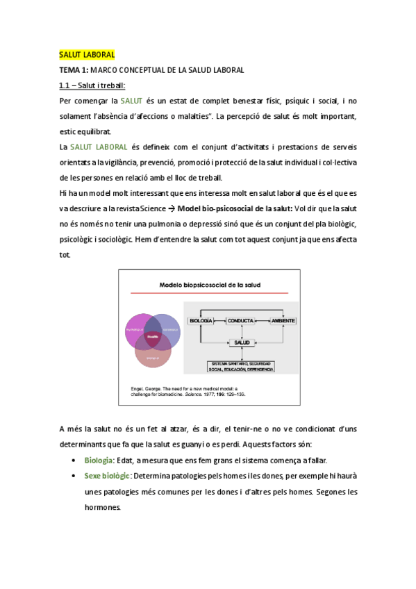 Miniatura del documento SALUT-LABORAL.pdf