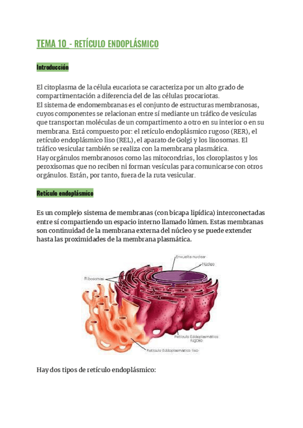 Miniatura del documento Apuntes-examen-enero-BCH.pdf