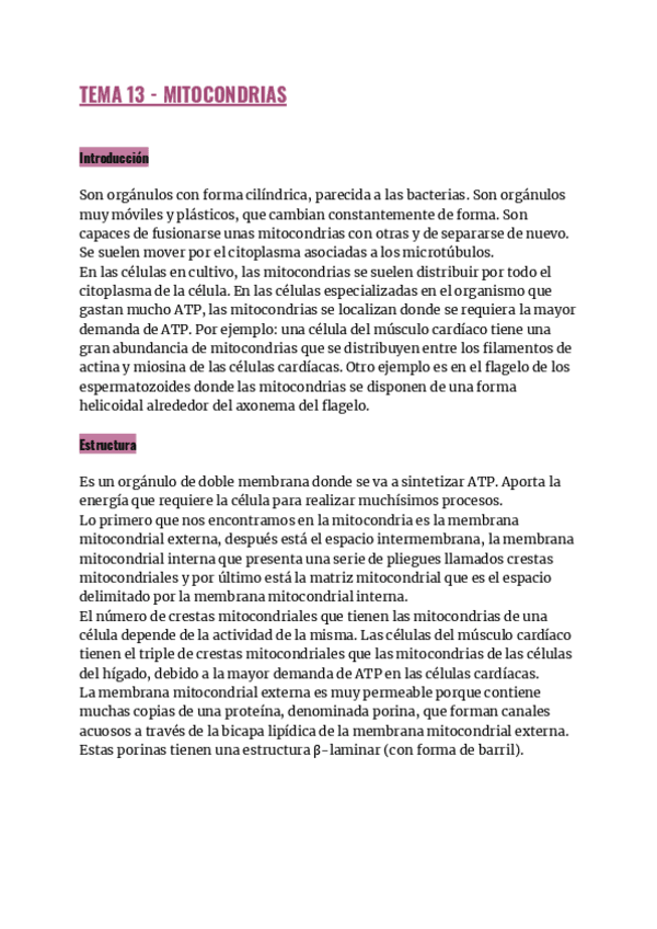 Miniatura del documento TEMA-13-MITOCONDRIAS.pdf